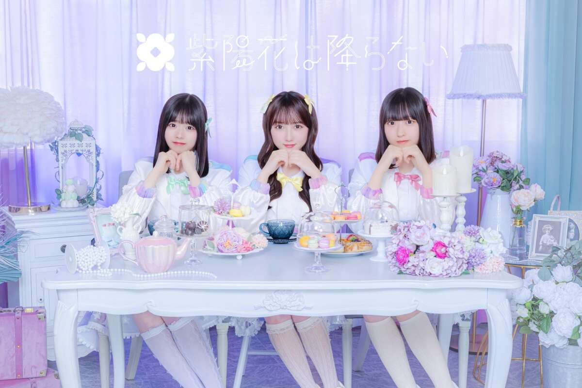 紫陽花は降らない