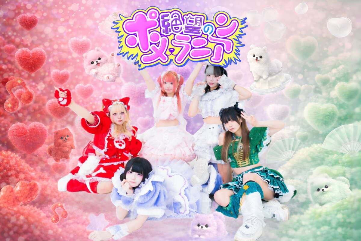 絶望のポメラニアン