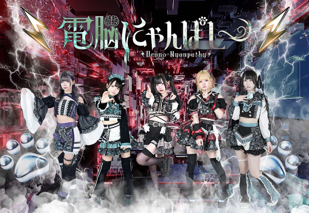 電脳にゃんぱしー