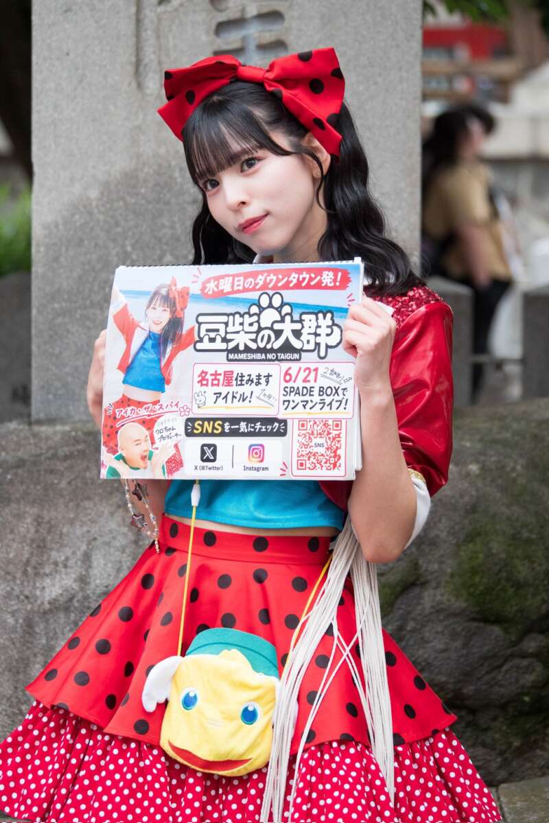 アイカ・ザ・スパイ