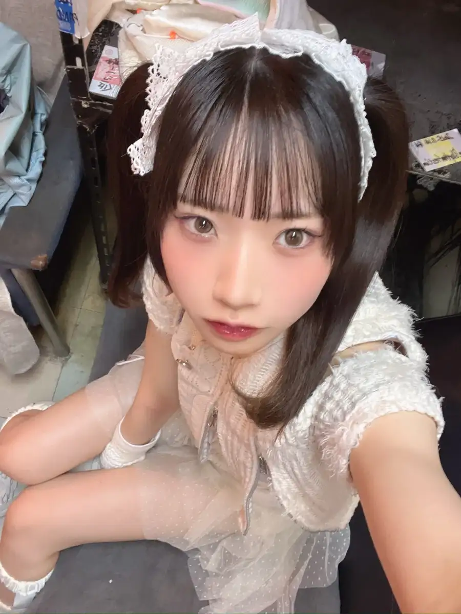 ワニャ+